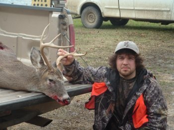 Deer Past