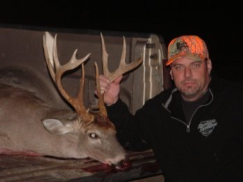 Deer Past