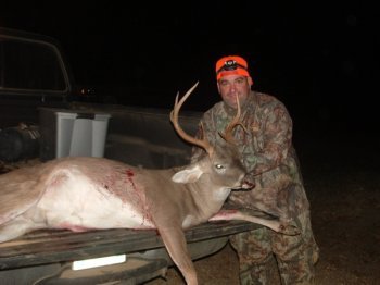 Deer Past