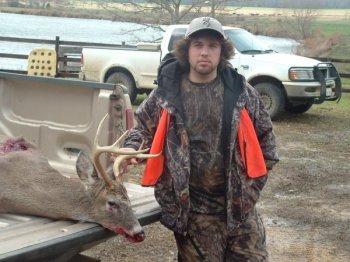 Deer Past