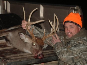 Deer Past