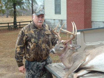 Deer Past