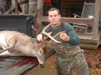 Deer Past