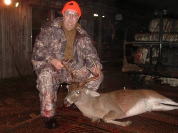 Deer Past