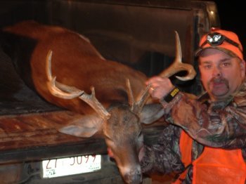 Deer Past