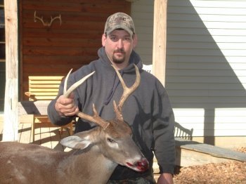 Deer Past