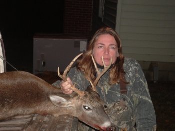 Deer Past