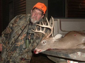 Deer Past