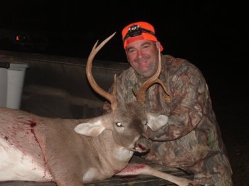Deer Past
