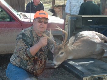 Deer Past