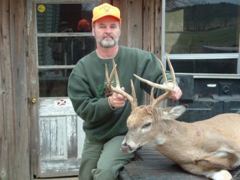 Deer Past