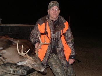 Deer Past