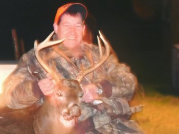 Deer Past