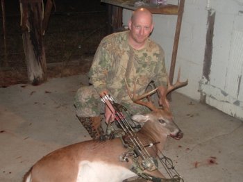 Deer Past