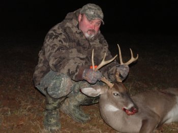 Deer Past