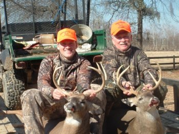 Deer Past