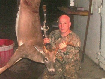 Deer Past