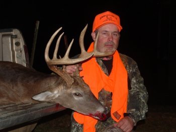 Deer Past