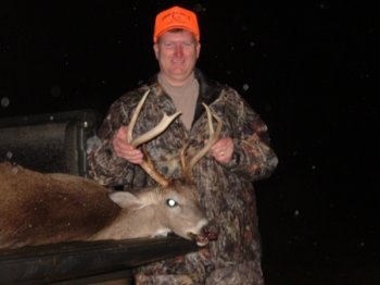 Deer Past