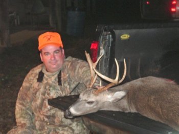 Deer Past