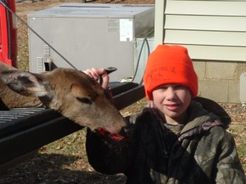 Deer Past