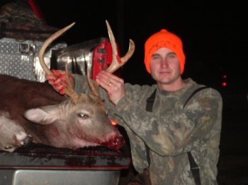 Deer Past