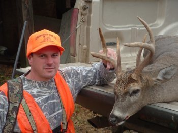 Deer Past