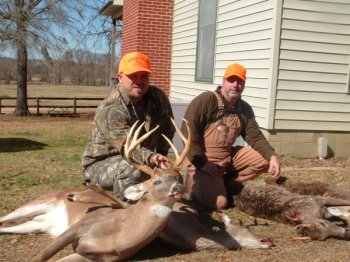 Deer Past