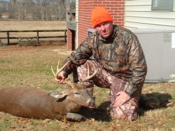 Deer Past