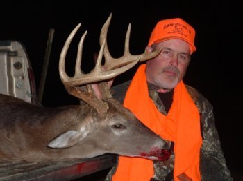 Deer Past