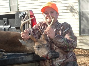 Deer Past