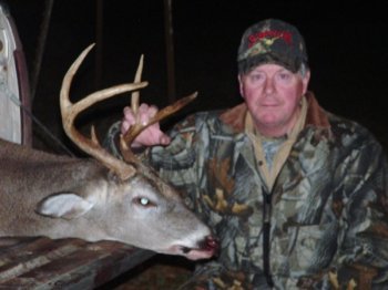 Deer Past