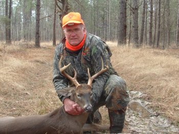 Deer Past