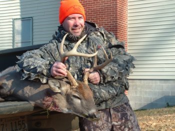 Deer Past