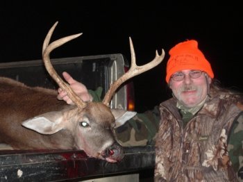 Deer Past