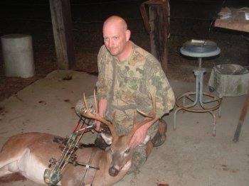 Deer Past