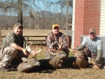 Deer Past