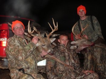 Deer Past