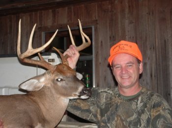 Deer Past