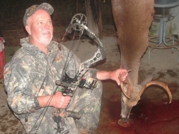 Deer Past