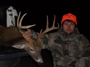 Deer Past