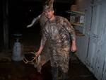 Deer Past