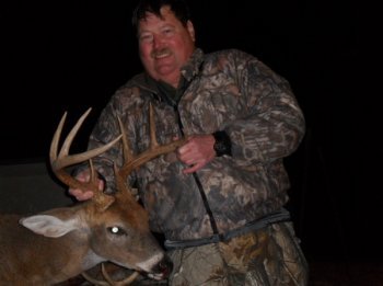 Deer Past