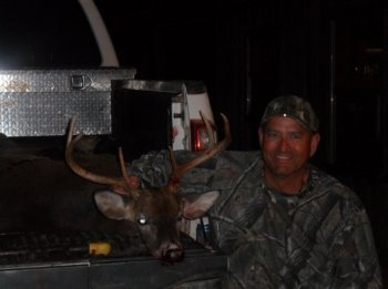 Deer Past