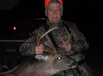 Deer Past