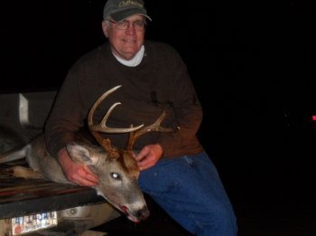 Deer Past