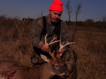 Deer Past