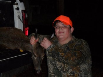 Deer Past