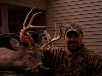 Deer Past