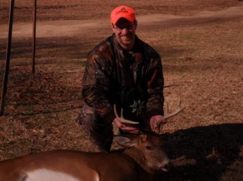 Deer Past